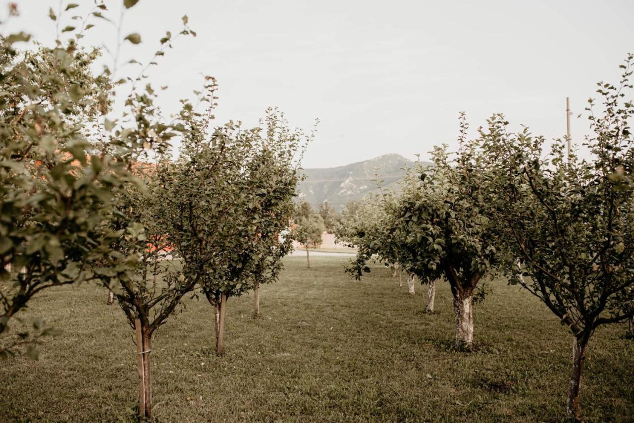 Vikendica Castanea Banja Zdrelo Villa Petrovac na Mlavi Dış mekan fotoğraf
